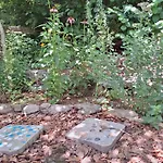 アパート Froschteichhaeuschen - Und Wellness