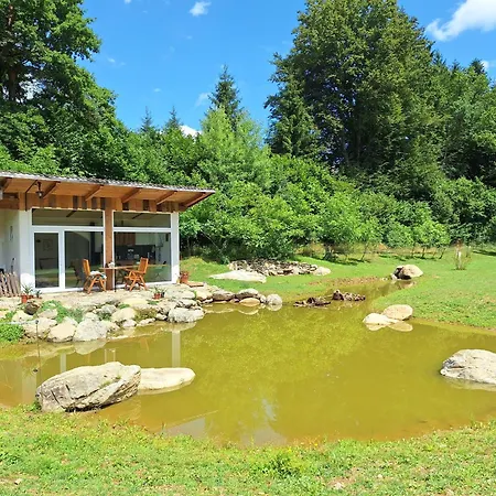 Apartment Froschteichhaeuschen - Und Wellness