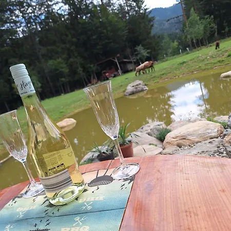 Froschteichhaeuschen - Und Wellness *