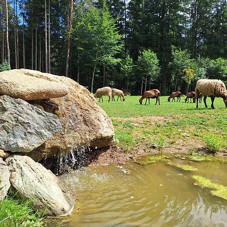 Lejlighed Froschteichhaeuschen - Und Wellness