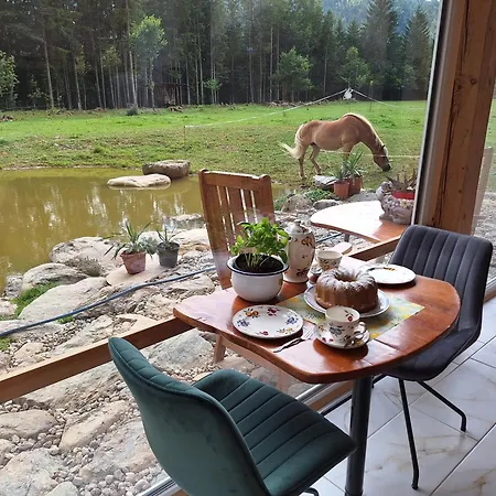 Froschteichhaeuschen - Und Wellness *