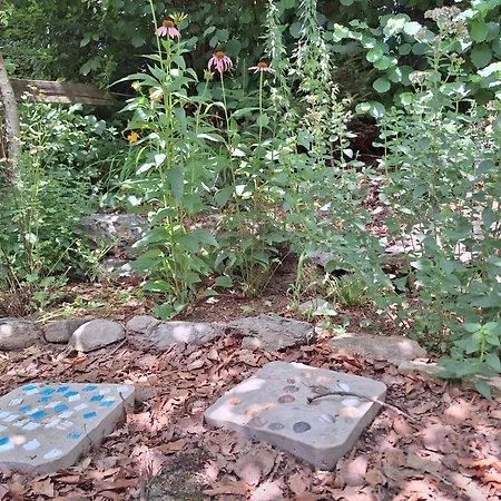 Apartman Froschteichhaeuschen - Und Wellness