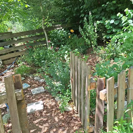 Froschteichhaeuschen - Und Wellness Spitzwiesen