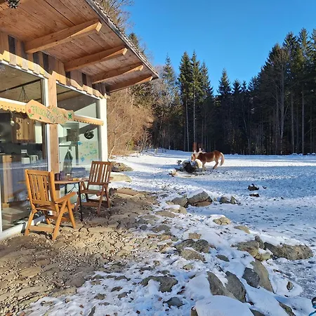 Froschteichhaeuschen - Und Wellness Apartment