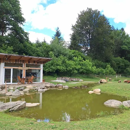 Froschteichhaeuschen - Und Wellness *