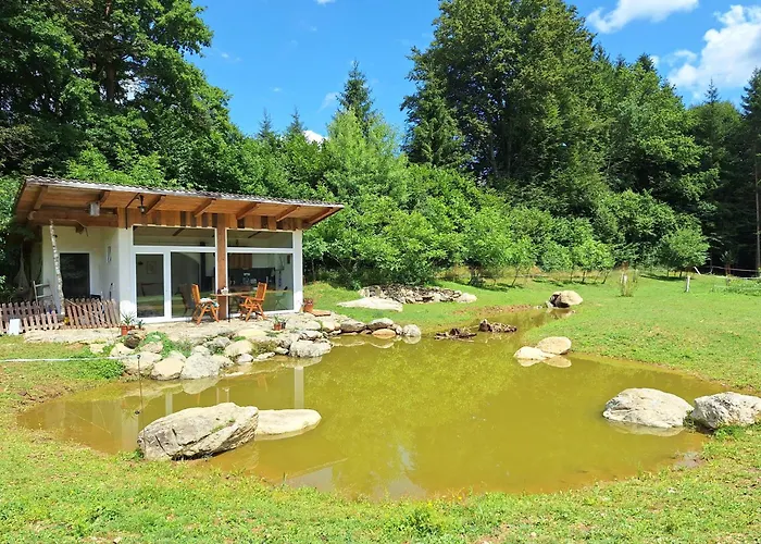 Daire Froschteichhaeuschen - Und Wellness