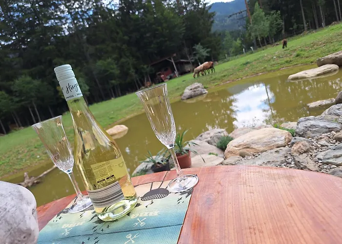 Froschteichhaeuschen - Und Wellness *