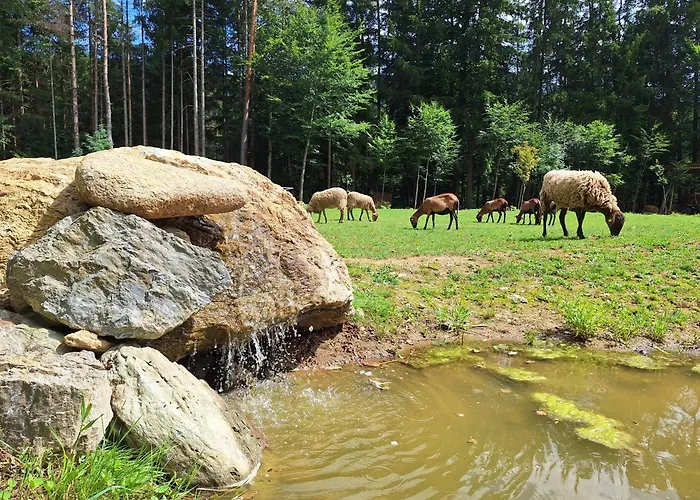 Apartment Froschteichhaeuschen - Und Wellness