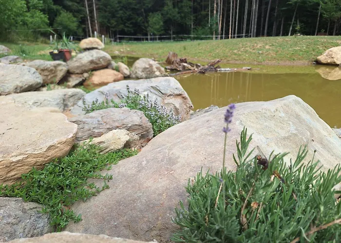 Apartment Froschteichhaeuschen - Und Wellness