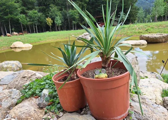 Froschteichhaeuschen - Und Wellness * Spitzwiesen