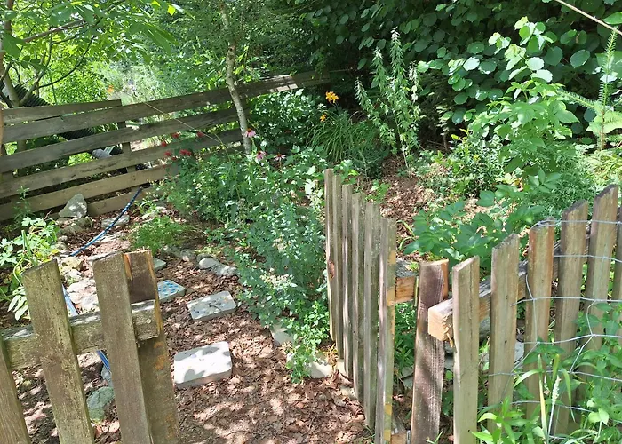 Froschteichhaeuschen - Und Wellness Spitzwiesen