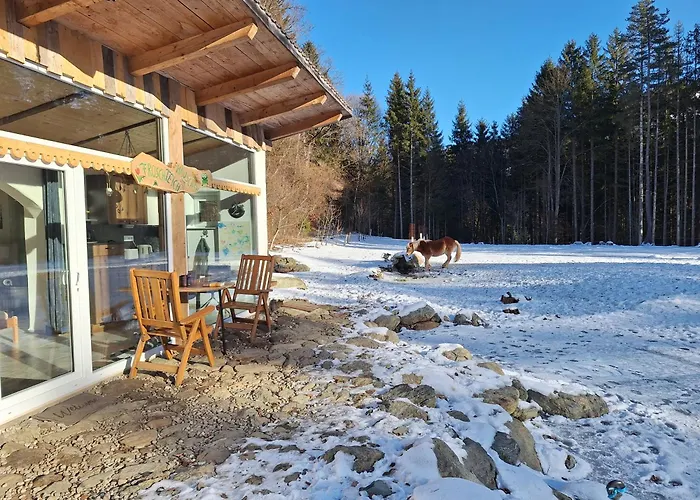 Froschteichhaeuschen - Und Wellness Apartment